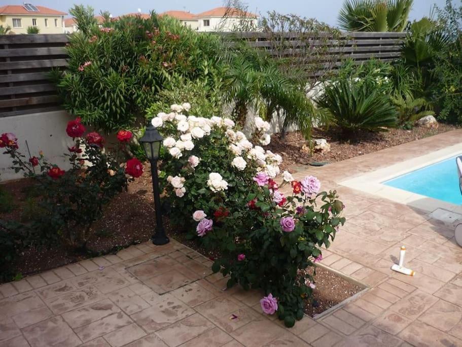Budget Escape To The Seaside Larnaca Exterior photo