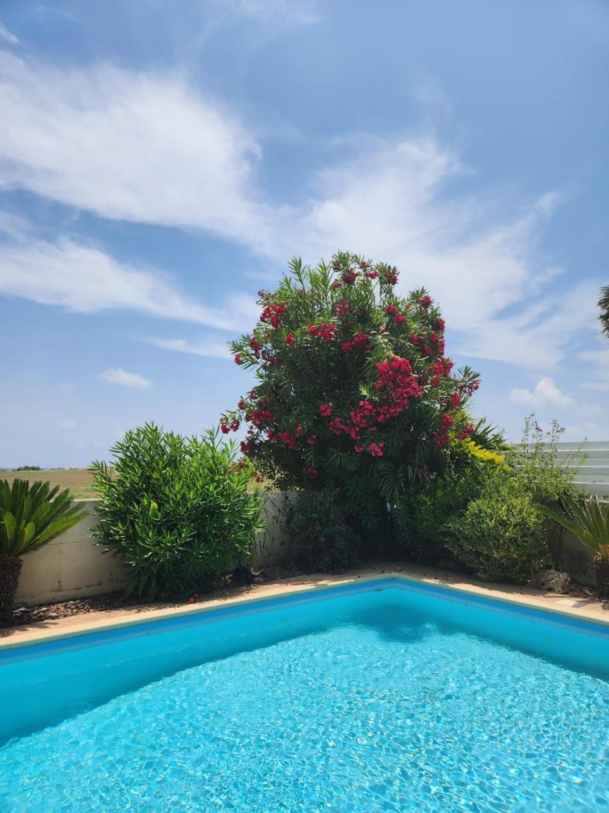Budget Escape To The Seaside Larnaca Exterior photo