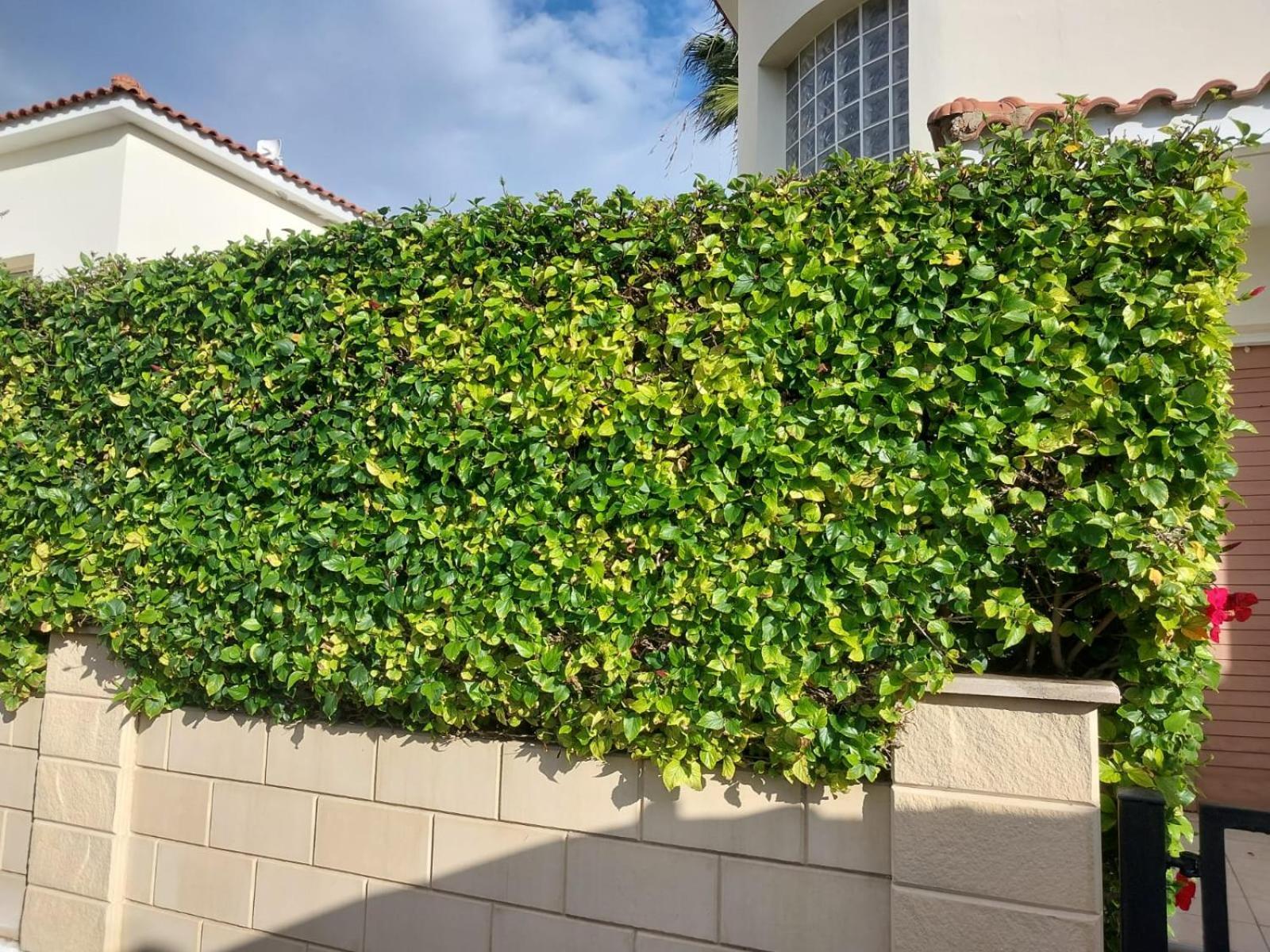 Budget Escape To The Seaside Larnaca Exterior photo