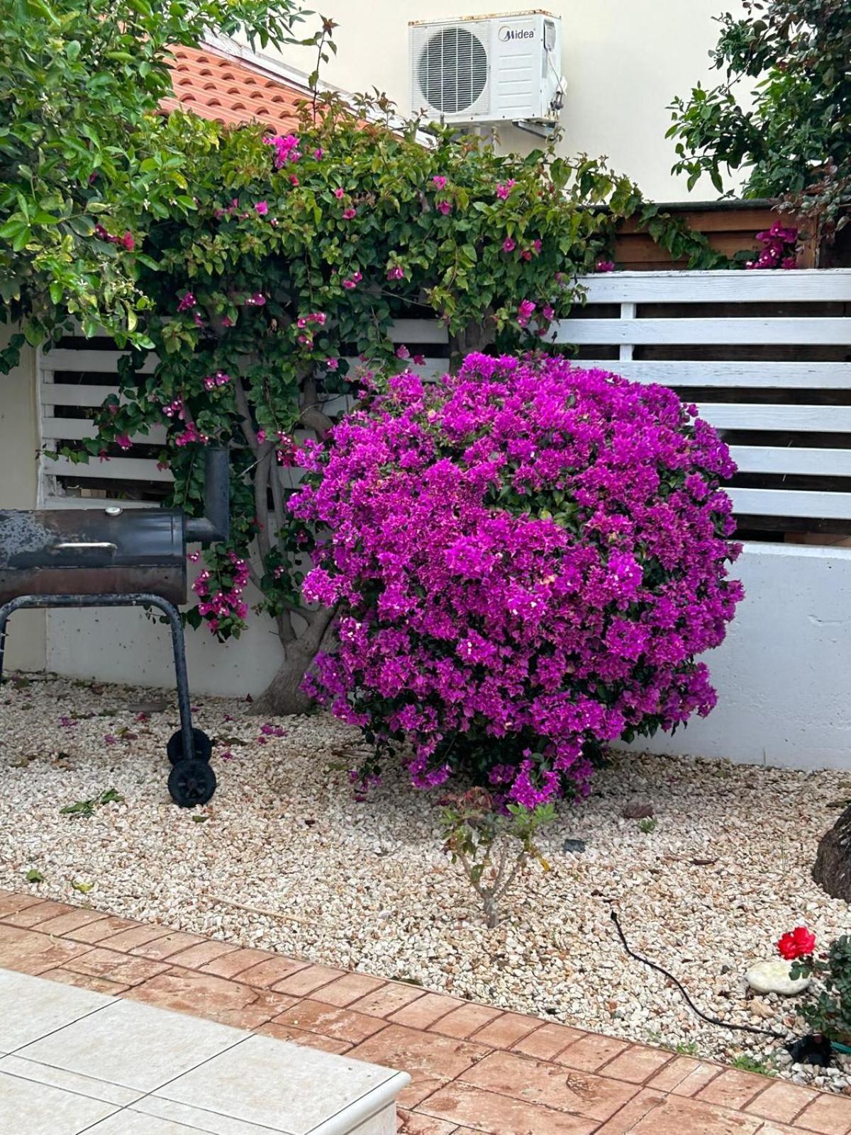 Budget Escape To The Seaside Larnaca Exterior photo